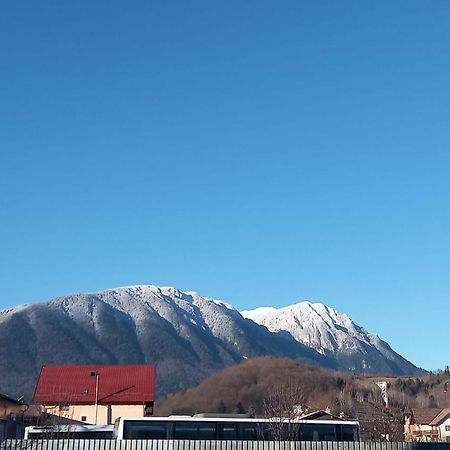 Piatra Craiului Residence Zărneşti المظهر الخارجي الصورة