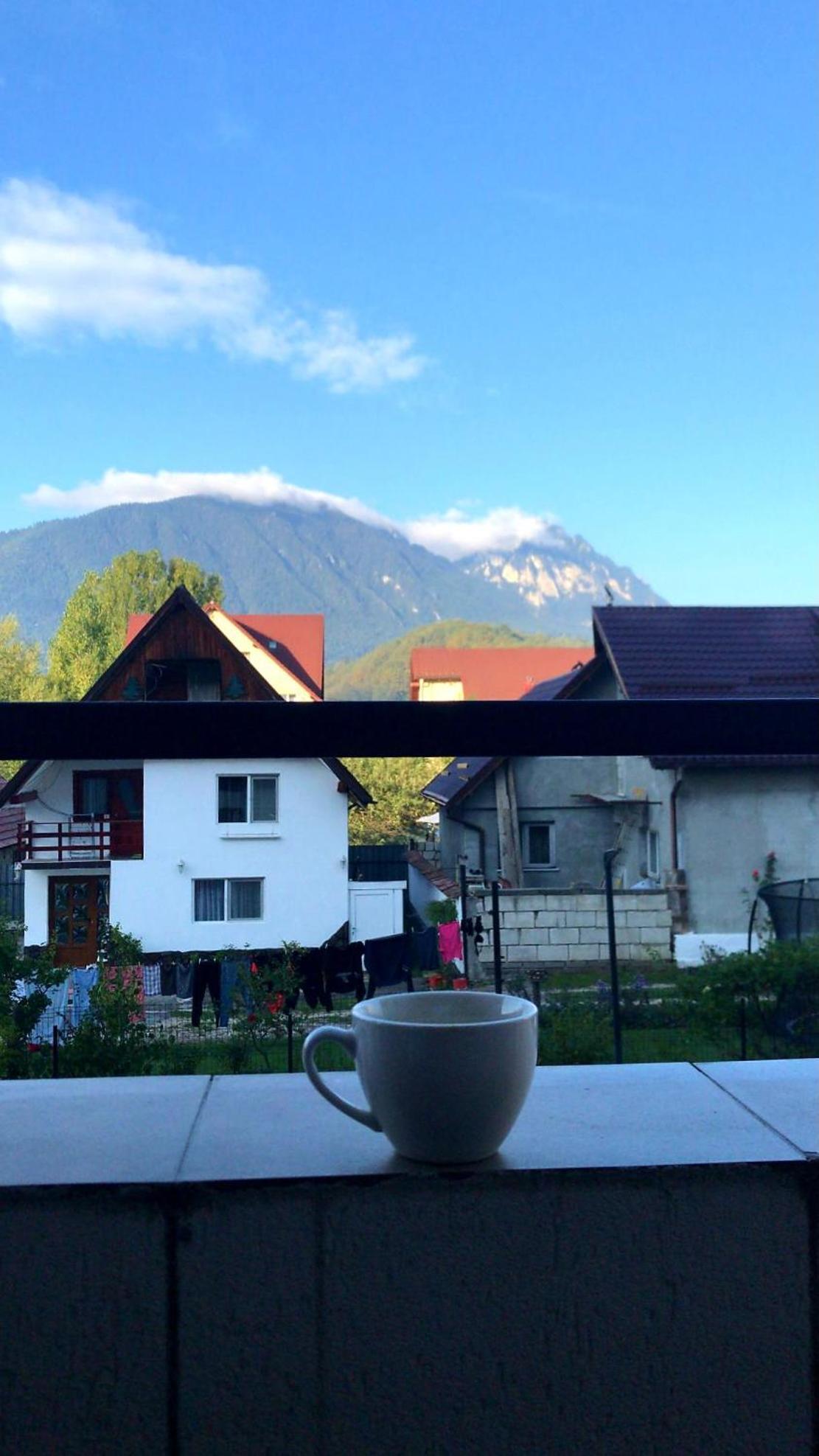 Piatra Craiului Residence Zărneşti المظهر الخارجي الصورة