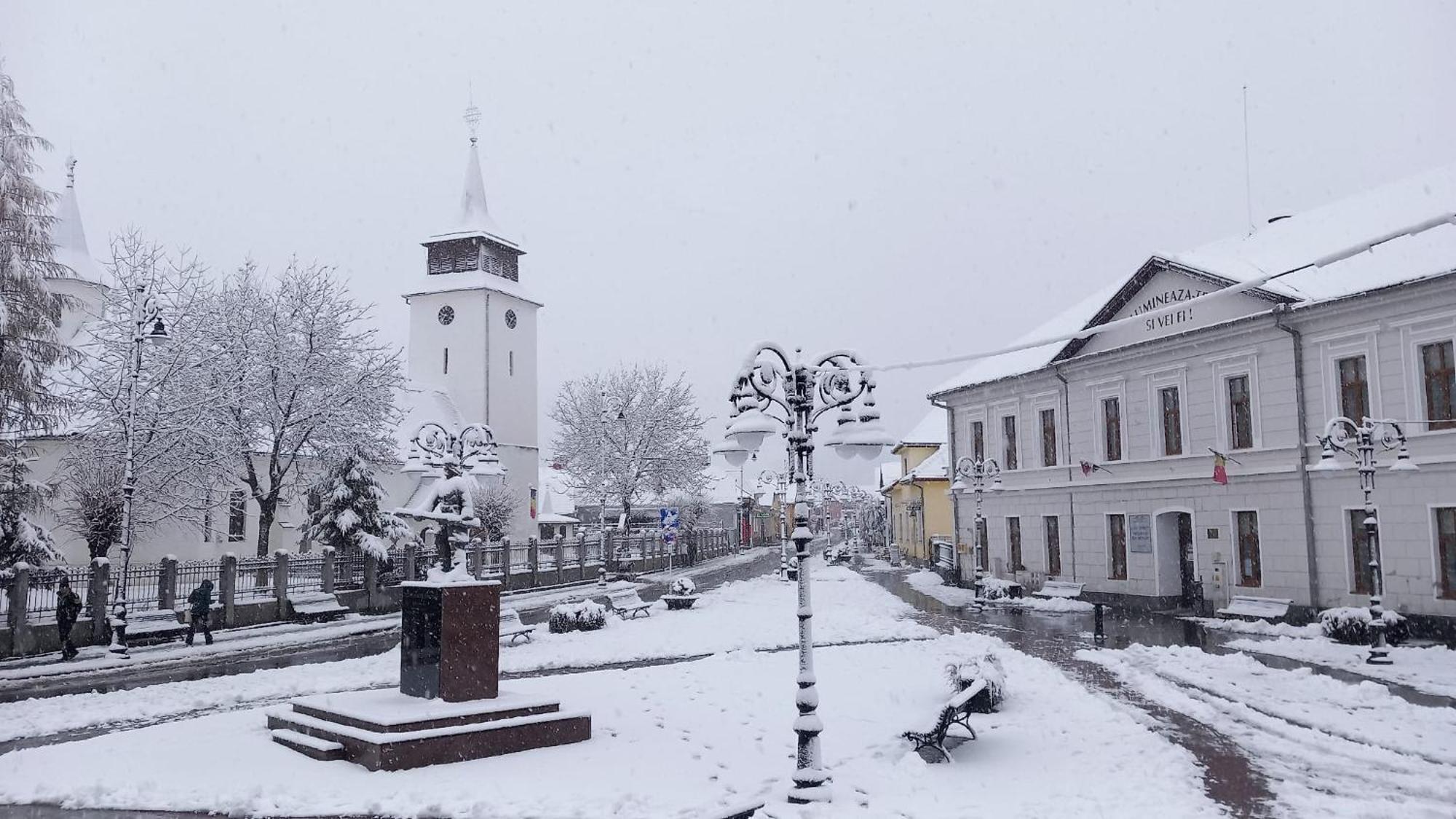Piatra Craiului Residence Zărneşti المظهر الخارجي الصورة